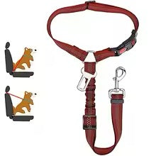 2-in-1 Travel & Walk Dog Harness